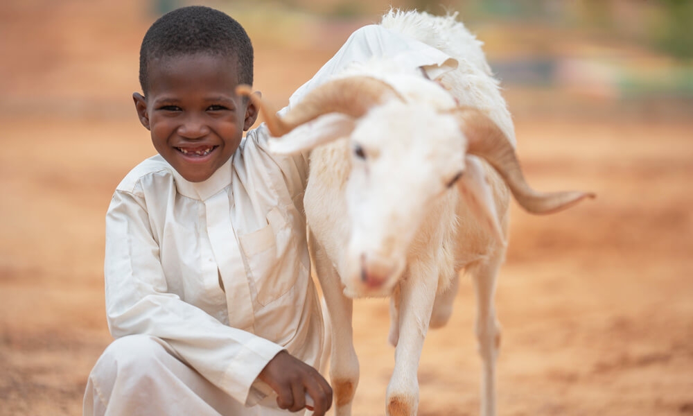 Kurban Bağışları